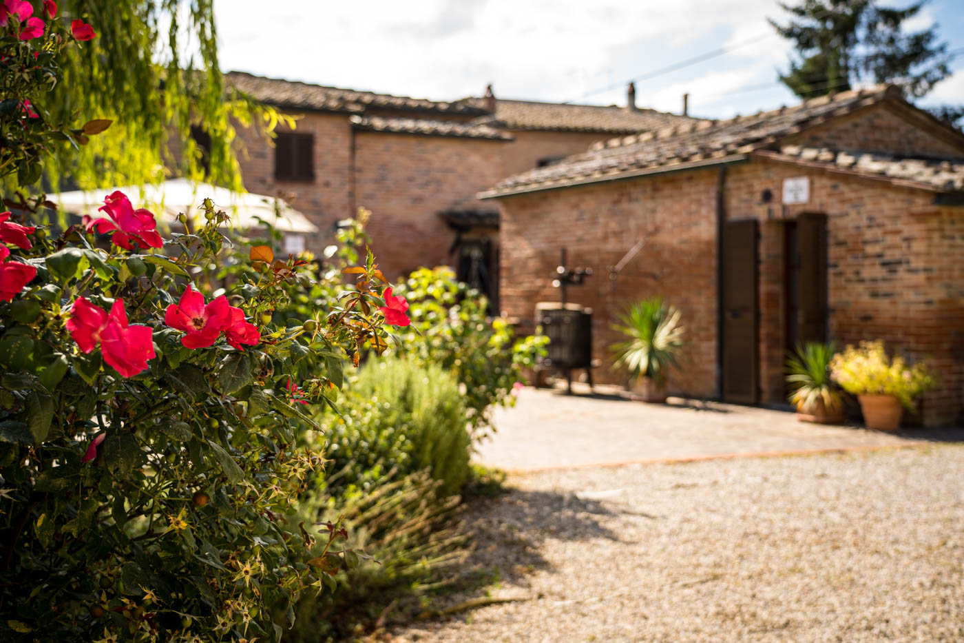 Giardino attrezzato di Borgo Terrosi