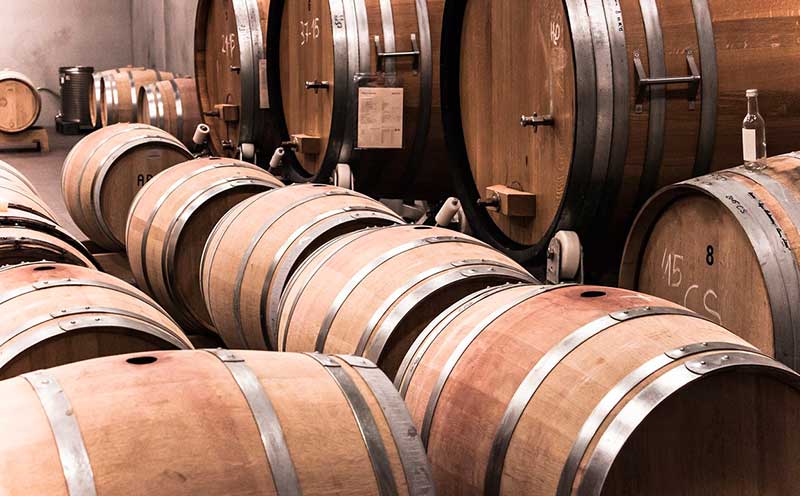 Winery visit