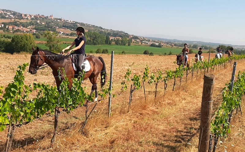 Horse riding