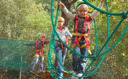 Family experiences